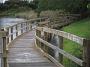 manning waters 014